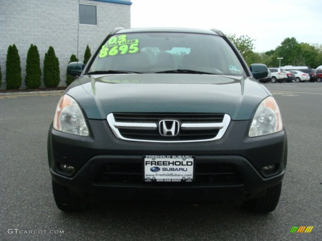 2003 CR-V EX 4WD - Clover Green Pearl / Saddle photo #2