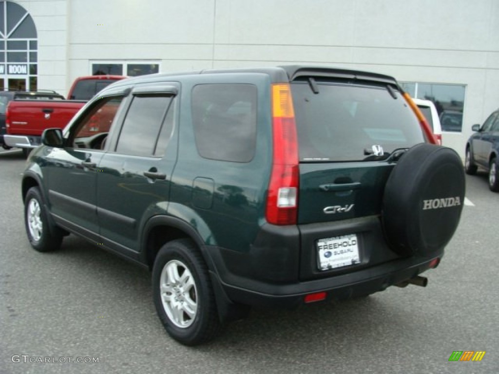 2003 CR-V EX 4WD - Clover Green Pearl / Saddle photo #4