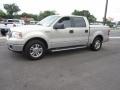 Silver Metallic - F150 Lariat SuperCrew Photo No. 12