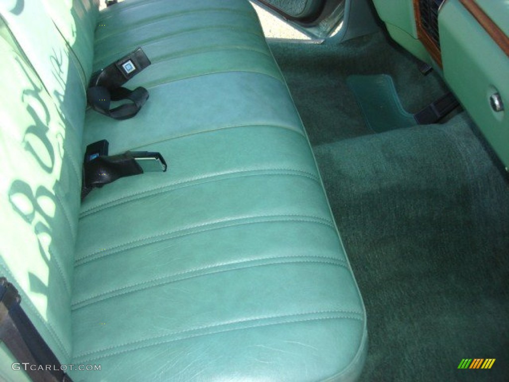1977 Buick Regal Coupe Interior Color Photos