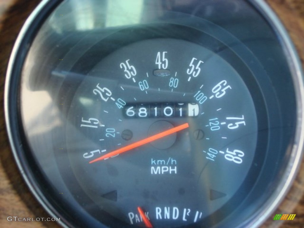1977 Buick Regal Coupe Gauges Photo #64950799