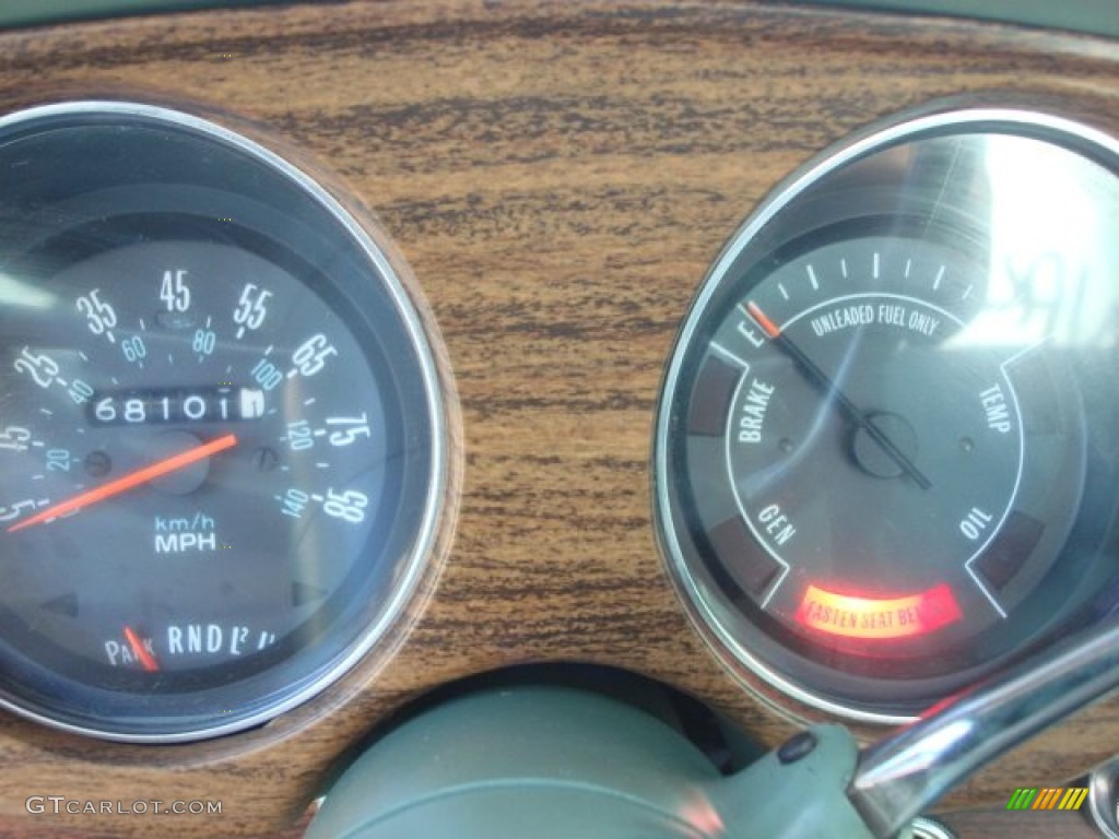 1977 Buick Regal Coupe Gauges Photo #64950826