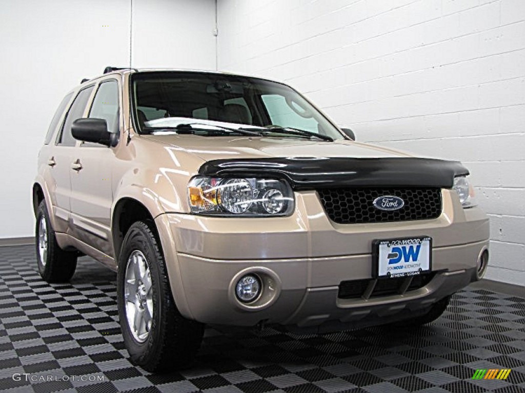 2007 Escape Limited 4WD - Dune Pearl Metallic / Medium/Dark Pebble photo #1