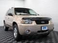2007 Dune Pearl Metallic Ford Escape Limited 4WD #64924888
