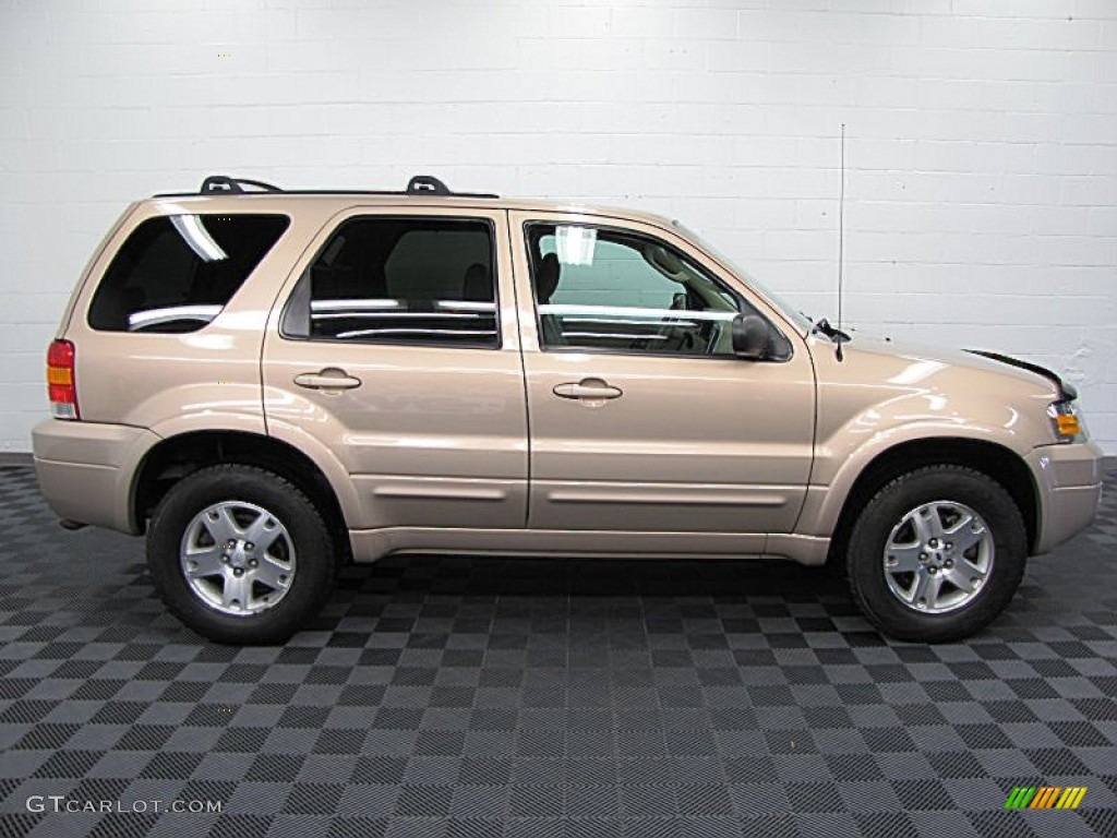 Dune Pearl Metallic 2007 Ford Escape Limited 4WD Exterior Photo #64951537