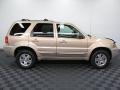 Dune Pearl Metallic 2007 Ford Escape Limited 4WD Exterior