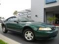 Amazon Green Metallic - Mustang V6 Coupe Photo No. 4