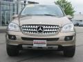 Sand Beige Metallic - ML 350 4Matic Photo No. 2