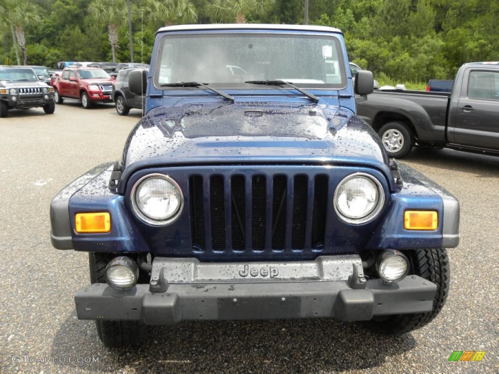 2004 Wrangler X 4x4 - Patriot Blue Pearl / Dark Slate Gray photo #14