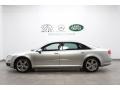 Light Silver Metallic - A8 L 4.2 quattro Photo No. 2