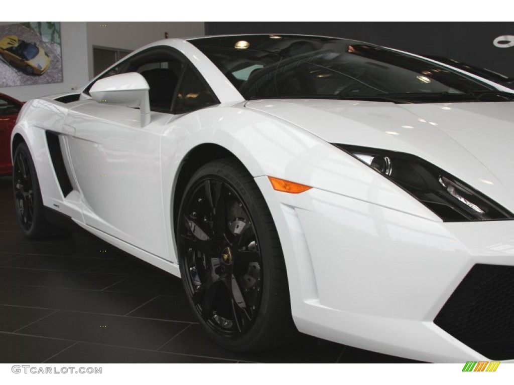 2012 Gallardo LP 550-2 - Bianco Monocerus / Nero Perseus photo #5