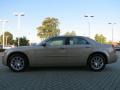 Light Sandstone Metallic - 300 Touring Photo No. 2