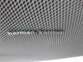 Iridium Silver Metallic - CLS 550 Photo No. 9