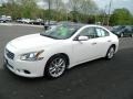 Winter Frost White - Maxima 3.5 SV Photo No. 1