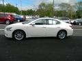 Winter Frost White - Maxima 3.5 SV Photo No. 2