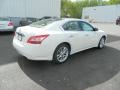 Winter Frost White - Maxima 3.5 SV Photo No. 5