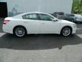 Winter Frost White - Maxima 3.5 SV Photo No. 6