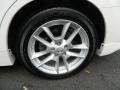 Winter Frost White - Maxima 3.5 SV Photo No. 11