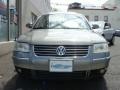 Stonehenge Grey Metallic - Passat GLS 4Motion Sedan Photo No. 2