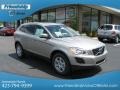 Seashell Metallic - XC60 3.2 AWD Photo No. 5