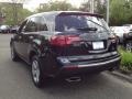 Crystal Black Pearl - MDX Technology Photo No. 6