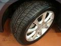 Carbon Gray Pearl - TSX Sedan Photo No. 25