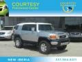 Titanium Metallic - FJ Cruiser 4WD Photo No. 1