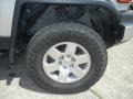 Titanium Metallic - FJ Cruiser 4WD Photo No. 22