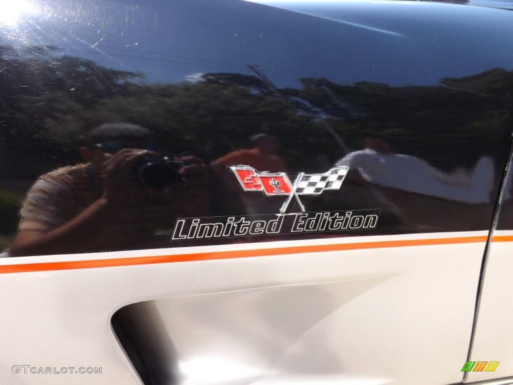 1978 Chevrolet Corvette Indianapolis 500 Pace Car Marks and Logos Photo #65012367