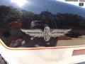 1978 Chevrolet Corvette Indianapolis 500 Pace Car Badge and Logo Photo