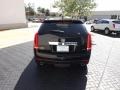 Black Raven - SRX Performance Photo No. 4