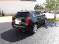 Black Raven - SRX Performance Photo No. 5