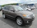 Cabo Bronze - Santa Fe Limited V6 AWD Photo No. 1