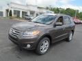 Cabo Bronze - Santa Fe Limited V6 AWD Photo No. 3