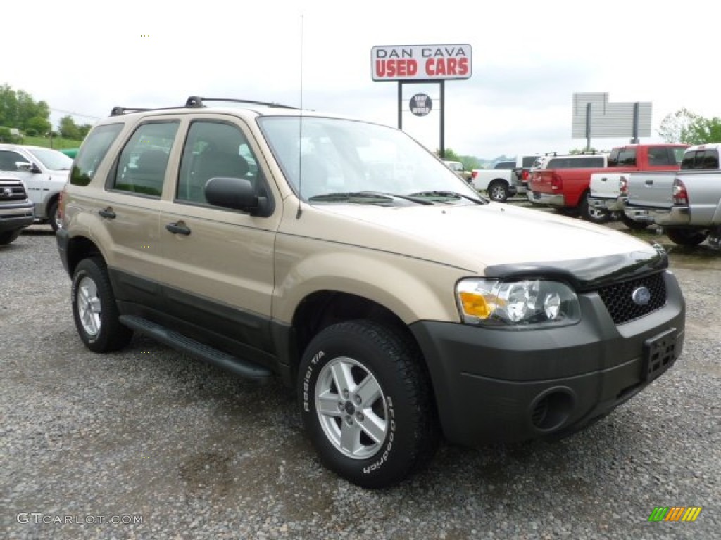 2007 Escape XLS 4WD - Dune Pearl Metallic / Medium/Dark Pebble photo #1