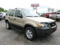 Dune Pearl Metallic 2007 Ford Escape XLS 4WD