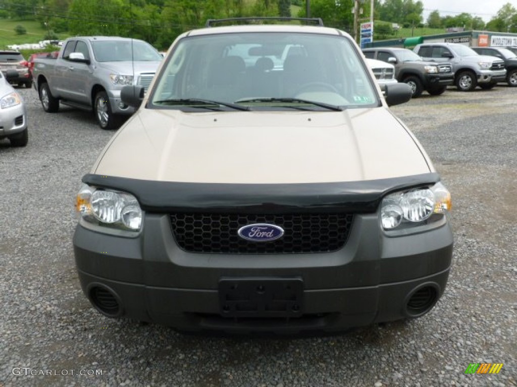 2007 Escape XLS 4WD - Dune Pearl Metallic / Medium/Dark Pebble photo #2