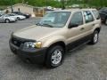 2007 Dune Pearl Metallic Ford Escape XLS 4WD  photo #3