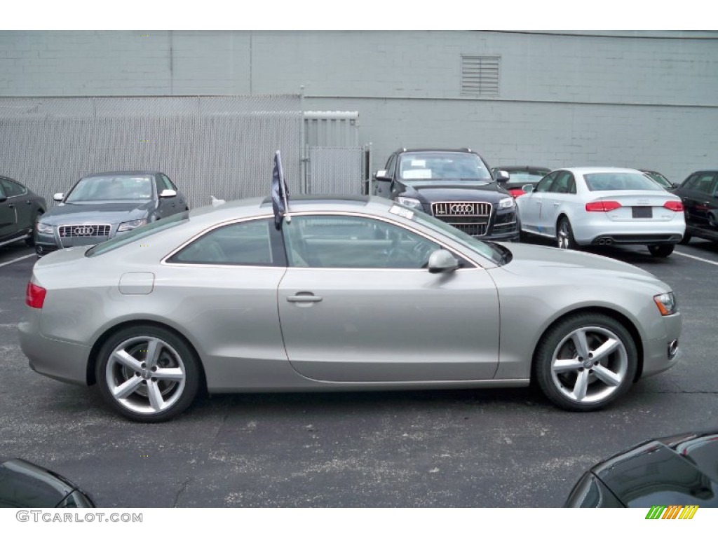 Sahara Silver Metallic 2010 Audi A5 2.0T quattro Coupe Exterior Photo #65037317