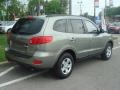 2009 Natural Khaki Hyundai Santa Fe GLS  photo #3