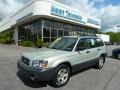 Champagne Gold Opalescent 2005 Subaru Forester 2.5 X
