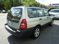 Champagne Gold Opalescent - Forester 2.5 X Photo No. 5