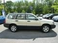 Champagne Gold Opalescent - Forester 2.5 X Photo No. 6