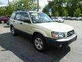 Champagne Gold Opalescent - Forester 2.5 X Photo No. 7