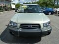 Champagne Gold Opalescent - Forester 2.5 X Photo No. 8