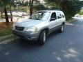 Platinum Metallic - Tribute LX V6 Photo No. 2