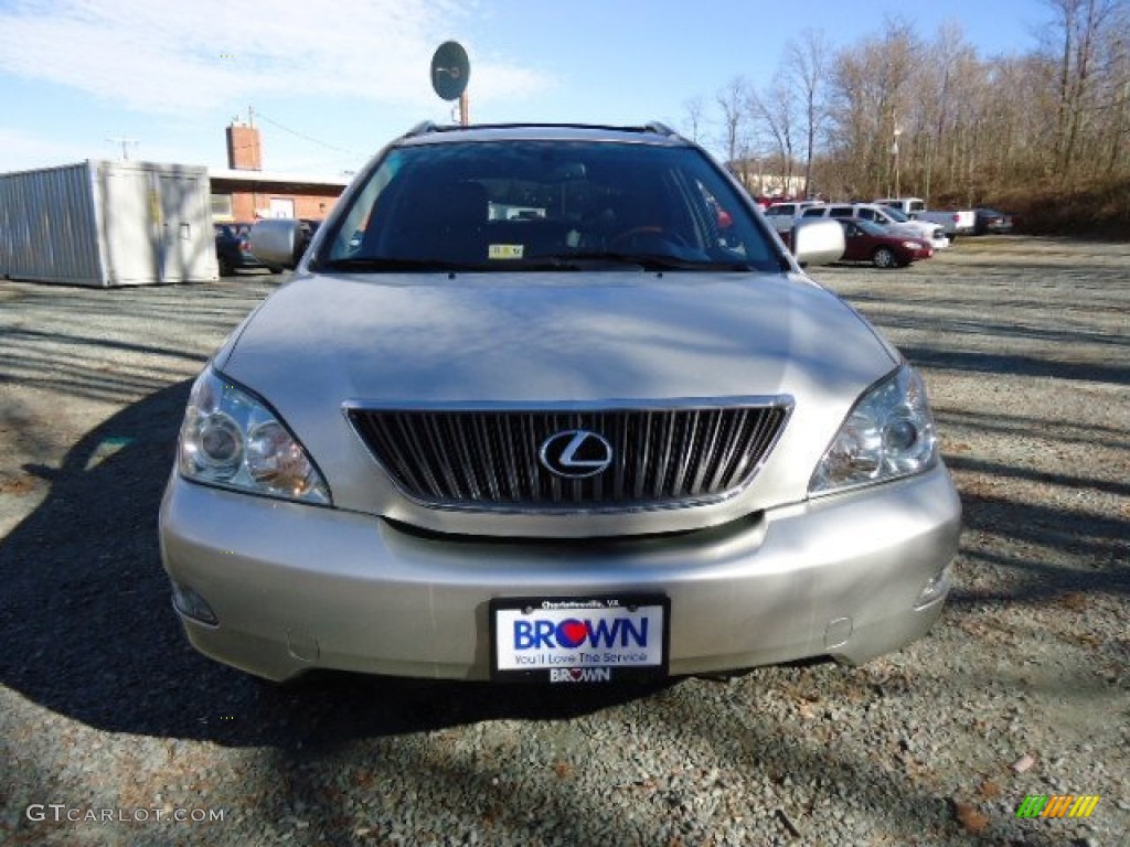 2005 RX 330 - Thunder Cloud Metallic / Ivory photo #2