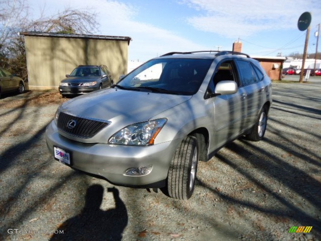 2005 RX 330 - Thunder Cloud Metallic / Ivory photo #3