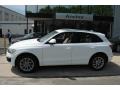 2009 Ibis White Audi Q5 3.2 Premium quattro  photo #3