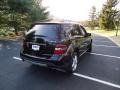 Black - ML 350 4Matic Photo No. 7